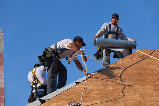 Best Commercial Roofing Services  in Ely, IA