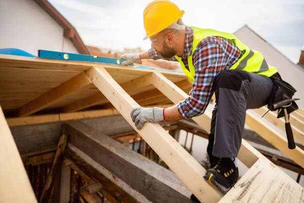 Best Roof Gutter Cleaning  in Ely, IA