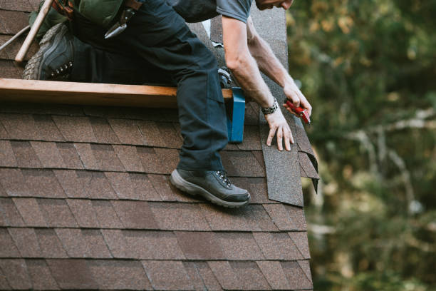 Best Metal Roofing Contractor  in Ely, IA