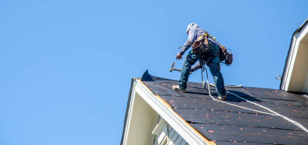 Roof Installation Near Me in Ely, IA